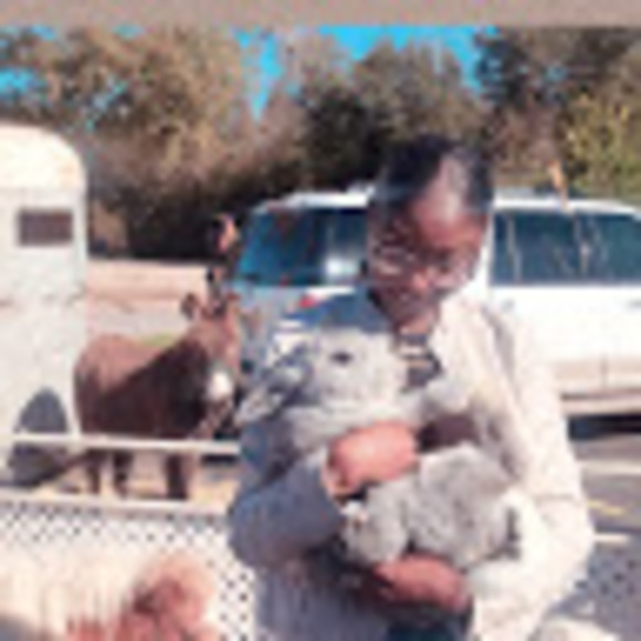 Meet your Posher, Amari - Picture 1 of 1